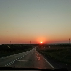 Аня Панкина