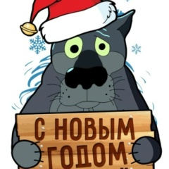 Алексей Ширшов, Нижний Новгород