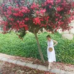 Софья Сайчик, Минск