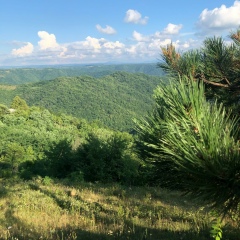 Евродий Форшмак, 05.02, Москва