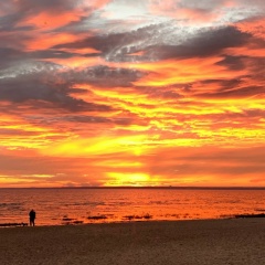Владимир Косарев, 27.08, Санкт-Петербург