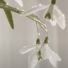 Юлия Тхалижокова, 10.02, Санкт-Петербург