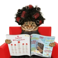 Анастасия Воронина, Барнаул