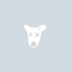 Санек Кислински