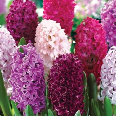 Инна Деникина, 25.08.1975