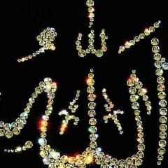 Амишка Мусульманка