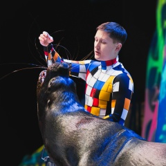 Клим Харламов, Новосибирск