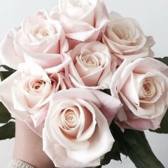 Лиа Шка, 02.10, Грозный