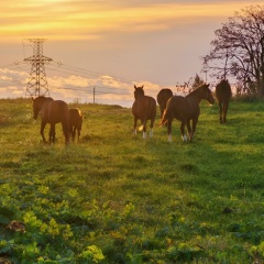 Дмитрий Пономарев, 05.09.1975, Санкт-Петербург