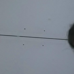 Ibraim Ibr, 09.01.1991, Алматы