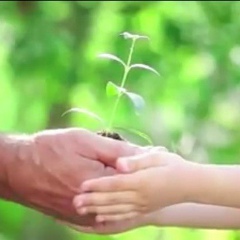 Толкын Базарбаева