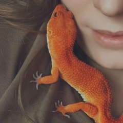 Надежда Величенко, 11.01, Долгопрудный