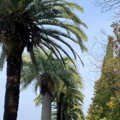 Андрей Войтов, 10.10.1983, Волгоград