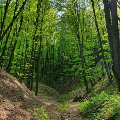 Евгений Панович, 21.04.1988, Кишинев