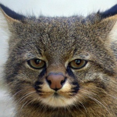 Илья Ушанов, 09.01, Сыктывкар