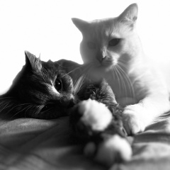 Татьяна Смирнова, 11.03, Санкт-Петербург