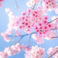 Damusha Sadakbaeva, 21.03, Актау