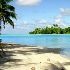 D'romance Always, Jakarta