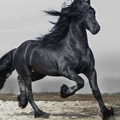 Nurbergen Izmagambetov, 25.03