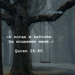 Мухаммад Добриев, 14.09, Назрань