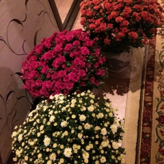 Шаттык Онталап, 06.01.1992, Актобе