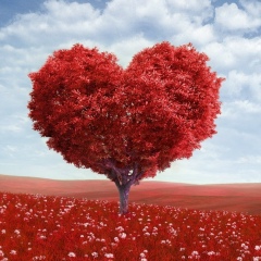 Юлия Волкова, 20.09, Москва