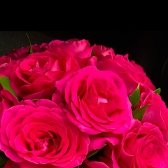 Alena Bakush, 08.03.1994, Москва