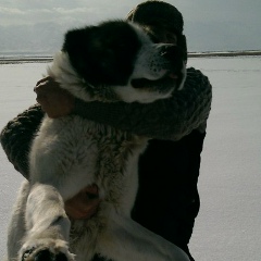 Каракас Кошкарбаев