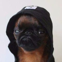 Владислав Немов