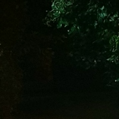 Вячеслав Тихонов, 02.07.1997, Москва