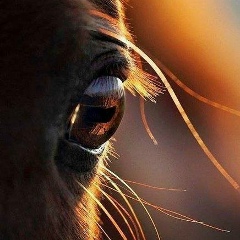 Роза Отарбаева, 30.04.1980