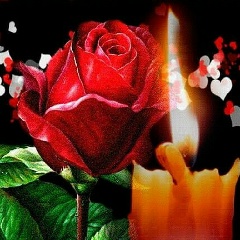 Лариса Липатова, 12.05, Санкт-Петербург