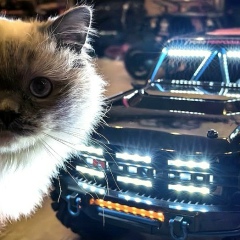 Александр Кошкин, 08.03.1982, Миасс