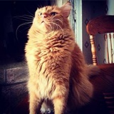 Чингиз Дандар, 09.01