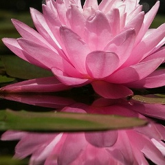 Tania Krasnova, 16.02, Актау