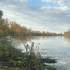 Алексей Журавлев, 14.04.1983, Балаково