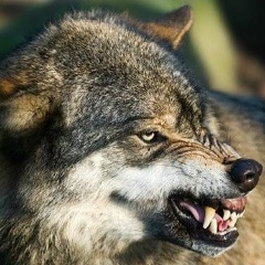 Марс Мунашов, 10.09.1978