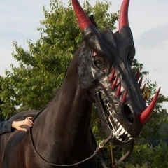 Олег Терещенко, Гомель