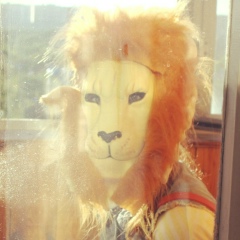 Аэлита Бошман, 15.05