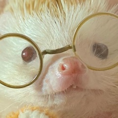 Владимир Ефимов, 23.09, Красное Село