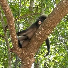 Василина Щукина