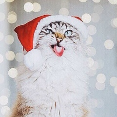 Татьяна Рубцова, 29.02.1992, Москва