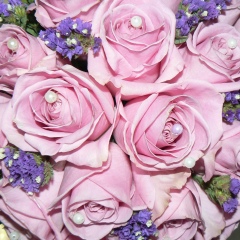 Дамира Сагимбекова, 07.04.1970