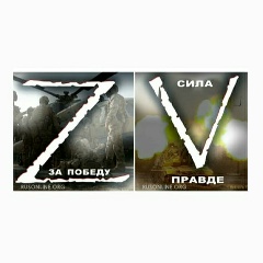 Николай Педченко, 06.06.1984, Санкт-Петербург