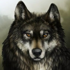 Мансур Шугеев, 19.11.1990, Атырау