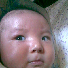 Бауыржан Алибеков