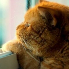 Мария Гинсбург, 11.08.1983, Казань