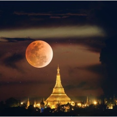 Nyitun Nann, 10.01.1977