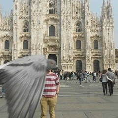 Максим Сирин, 05.06.1989, Санкт-Петербург