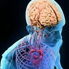 Umyint Khaing, 06.04.1972